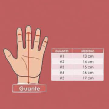 Descripción de la imagen